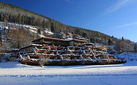 Quali sono i migliori hotel vicino a Baumwipfelpfad Schwarzwald?